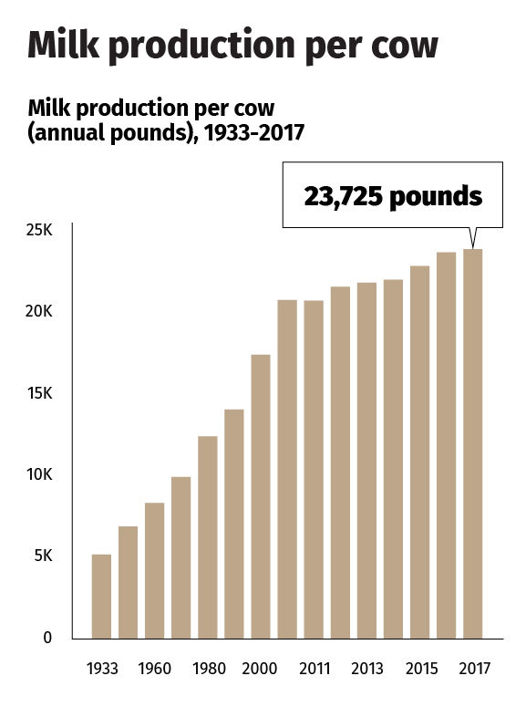 Milk Production